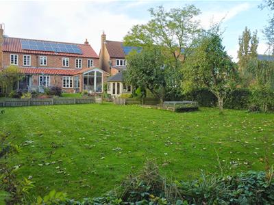 Picture 25